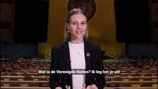 Wat is de VN?