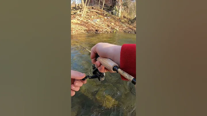 Winter Trout fishing