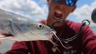 Let's See What Happens... Saltwater CATFISH USED As Bait Challenge