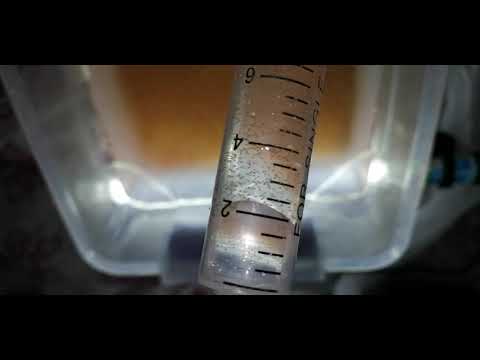 فقس بيوض الارتيميا