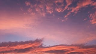 No volveré - Pedro Infante (letra)