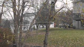 Heavy Rain and Windy Conditions - Edwardsville IL