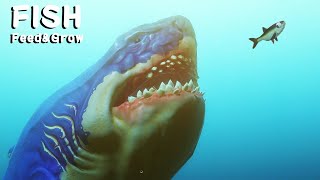 巨型海怪成長，能一口能吞掉巨大鯊魚的神遊戲『Feed&Grow FISH』