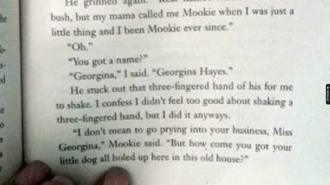 How To Steal A Dog Chapter 13