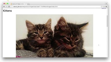 Raster & Vector Identification Solution - Responsive Images