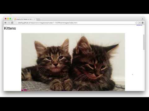 Raster & Vector Identification Solution - Responsive Images