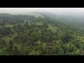 #photography #woodland #mist   Photography at Bolehill & Padley Gorge