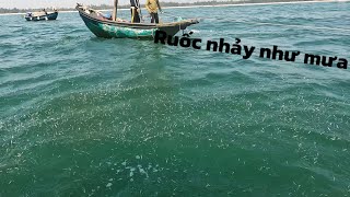 Trời Chuyển Giông … Rút Nhảy Như Mưa Và Cái Kết | Vietnamese fishermen catch seafood
