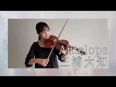 Antelope／三浦大知 Daichi Miuraをバイオリンで弾いてみた
