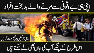 Most stupid people who made their lives in trouble | Urdu Cover