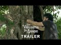 LOS VIGILANTES DEL BOSQUE | TRÁILER 2022