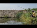 Small Single Hook fishing|Fisherman Catching Tilapia fishes by Float in Village Pond|Unique fishing