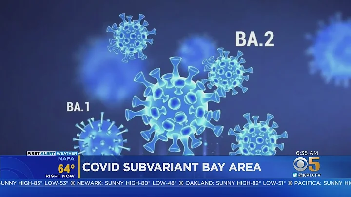 COVID: High Bay Area Vaccination Rate May Ward Off Omicron BA.2 Surge