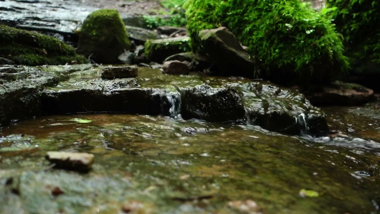 Entspannen mit der Xanderklinge 1/5