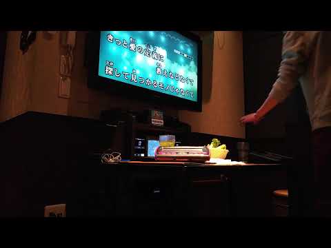 一生一瞬 /Sonar Pocket (cover)