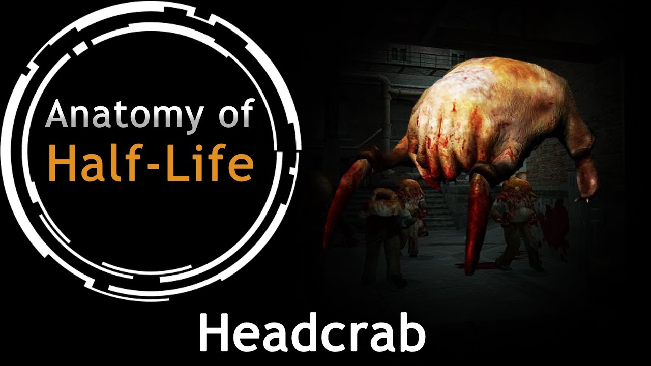 Aos Half Life Headcrab Youtube 