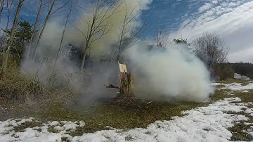 5 pounds of In The Red Binary Targets vs. Tree Stump
