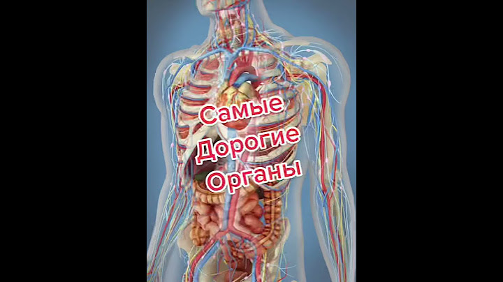 Самые дорогие органы человека!
