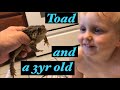 Toad and a 3 yr old 😂