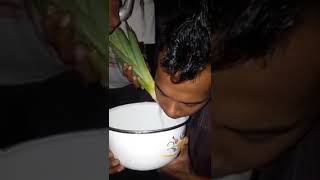 Cara Mengeluarkan Ulat Gigi Sakit Dengan Daun Pandan