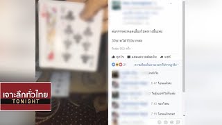 ไปไกล! เปิดแทงออนไลน์ ไลฟ์สดเล่นไฮโล-ป๊อกเด้งออนไลน์ | 24 ส.ค. 60 | เจาะลึกทั่วไทย Tonight screenshot 1