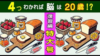 【間違い探し・復習編特大号vol.8】　問題が１０問。 計４０個の違いを見抜けるかな？　３６個以上見つけたら天才！ #362