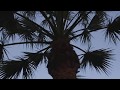 Kombat Sauce OfficialVideo Video by NEGATIF officialkombat.music
