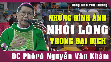Những Hình Ảnh NHÓI LÒNG Trong Đại Dịch |Bài Giảng Sâu Sắc Của Đức Cha Phêrô Nguyễn Văn Khảm