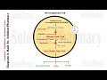 Sulfonamide and Trimethoprim - Mechanism of Action (HINDI) GPAT-NIPER- Pharmacist, DI Exam