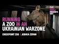 A Zoo During Wartime | Checkpoint Zoo Q&A