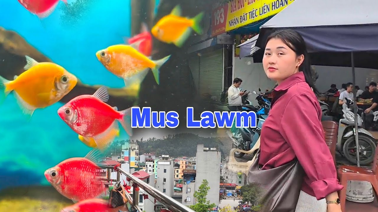 Npaj sawv kev Los Mus Nplog lawm os