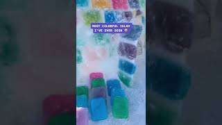 Celebrity How to make a colorful igloo Wealth