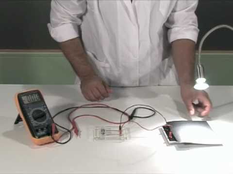 Βίντεο: Πώς οι Stingrays παράγουν ηλεκτρική ενέργεια