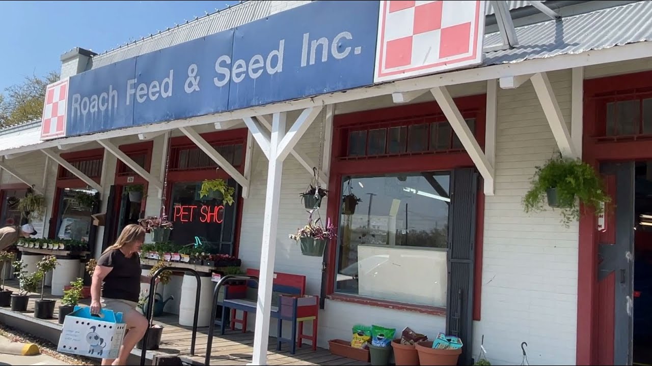 Downtown Garland's Small Business Spotlight Roach Feed and Seed YouTube
