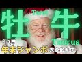 【牡牛座】2024年12月の運勢🎅年末ジャンボ大変化🎉2025年へ向け大きな一歩を踏み出す🌈タロット占い