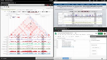Nucleome Browser Demo 02 : Works with UCSC and GSheet