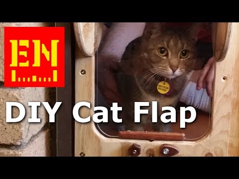 Video: Een eenvoudige, multifunctionele deur maken voor uw kattenflap van terrasplanken