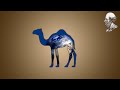 Eratosthène - Un bâton et un chameau pour mesurer la Terre - LPPV.01 - e-penser