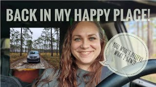 Rare wildlife & solo car camping at Florida Panhandle gem | Ochlockonee River State Park