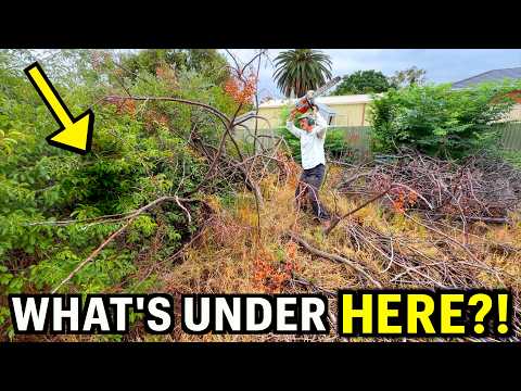I Couldn't Believe WHAT WAS HIDING Back Here - This Family NEEDED Help! thumbnail