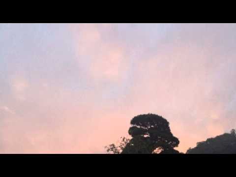 [everysing] 夕立のりぼん