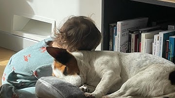 Extrait de story de Alexandra Rosenfeld et Hugo Clément