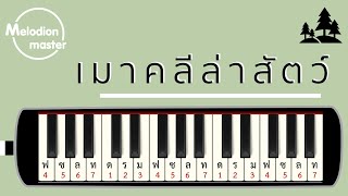 เพลง เมาคลีล่าสัตว์ : เมโลเดียน : แบบฝึก : โน้ตเพลง