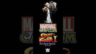 Street Fighter X Eminem - Till I Collapse