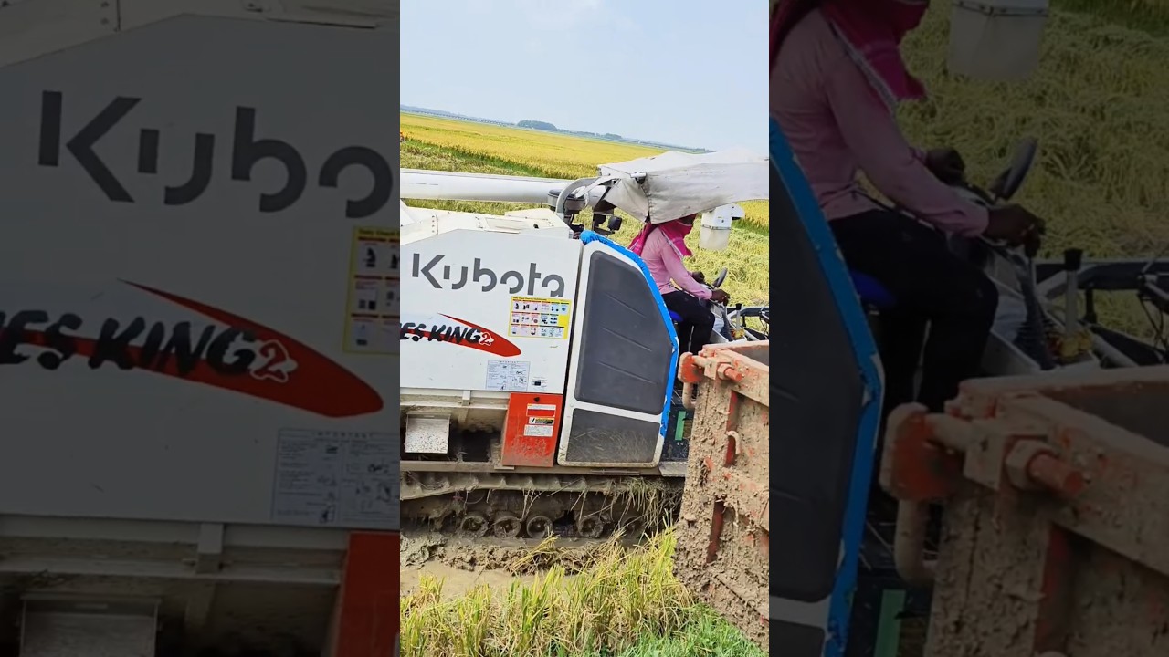 KUBOTA Hearvestor King 2
