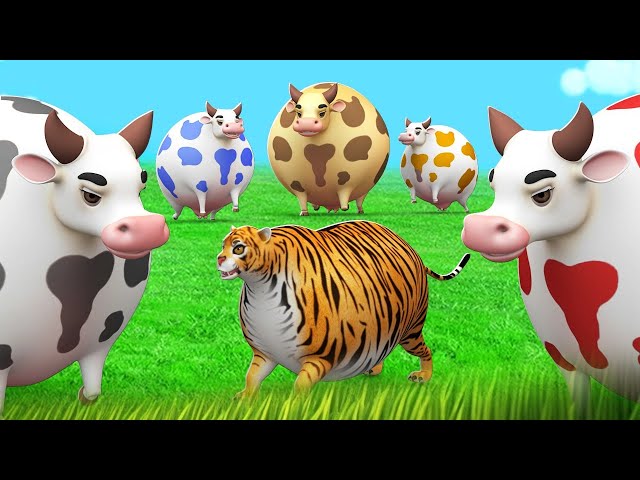 5 Fat Cows Counter Attack on Fat Tiger - Fat Animals Funny Comedy Fights  Cartoons