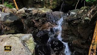 birds chirping flowing water - relaxing music to relieve stress with bird sounds #watersounds