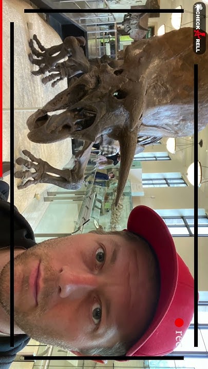 checkarell-in-new-york-tag-21-t-rex-museum-of-natural-history
