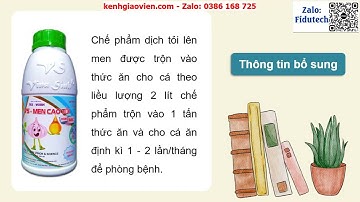 Giáo án PowerPoint Bài 25: Ứng dụng công... | GA điện tử Công nghệ 12 Lâm nghiệp Thuỷ sản Kết nối