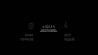Сура: Аль-Анкабут, Чтец: Абдуррахман Масад